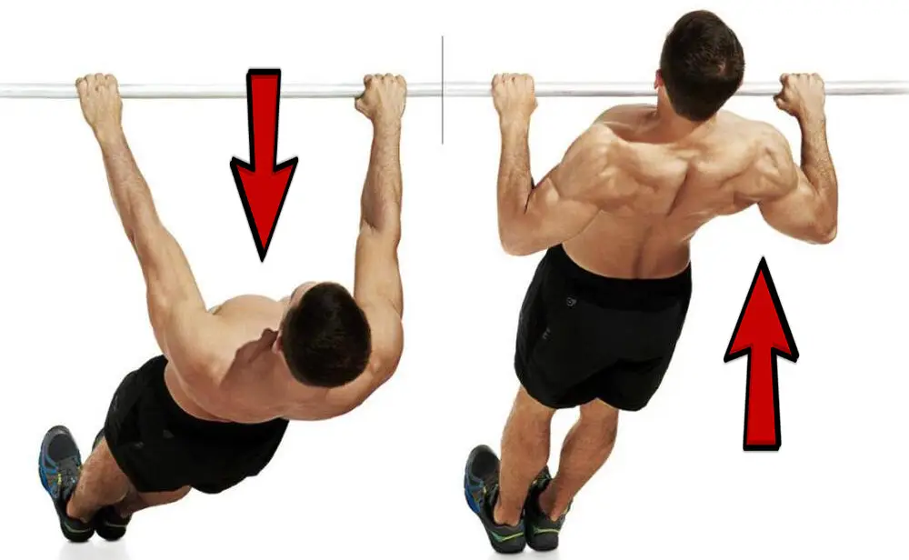 How to learn barbell pull-ups from scratch